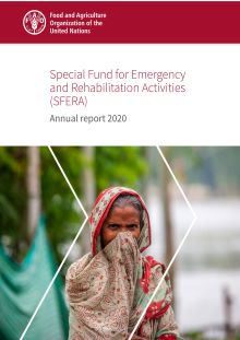 Special Fund for Emergency and Rehabilitation Activities (SFERA) | Annual Report 2020